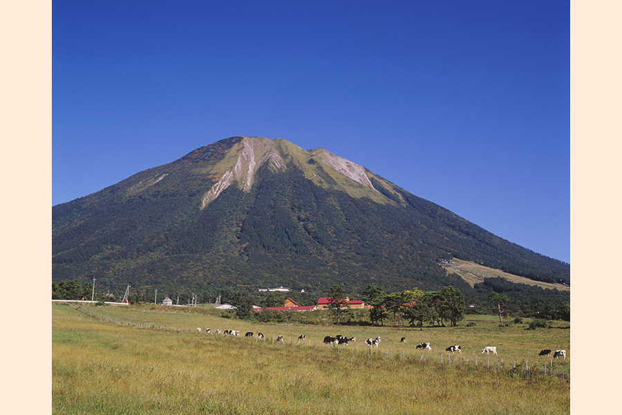 大山山麓牧場