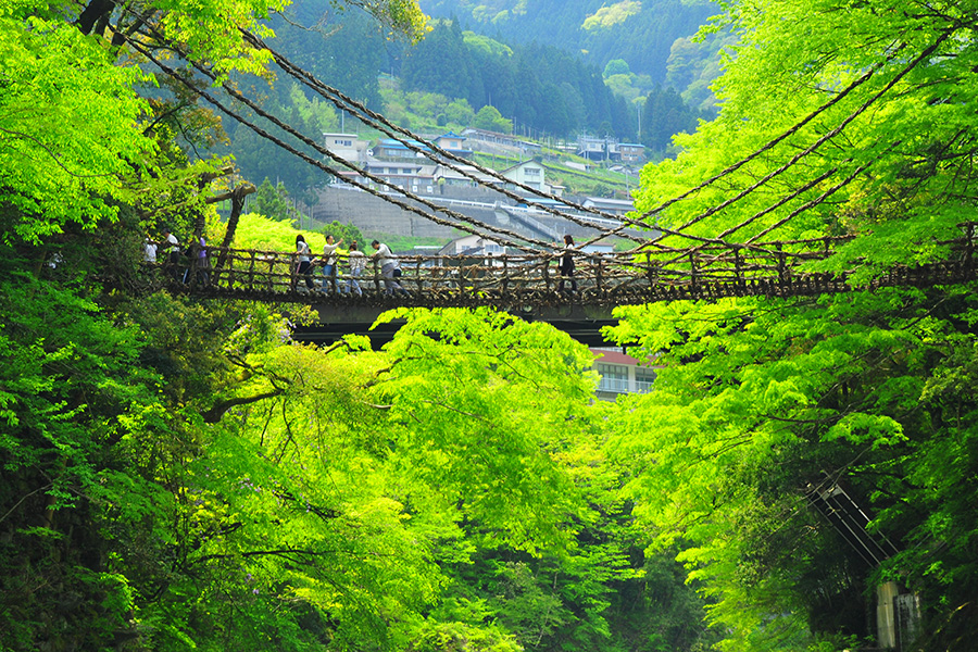 祖谷のかずら橋