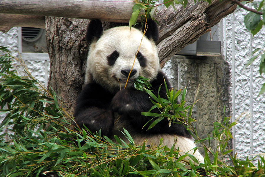 動物園