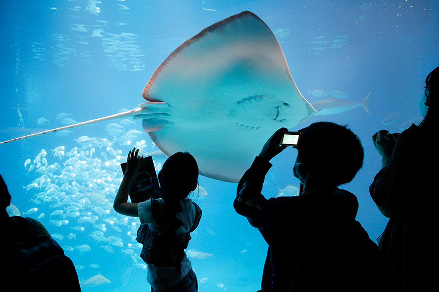 水族館