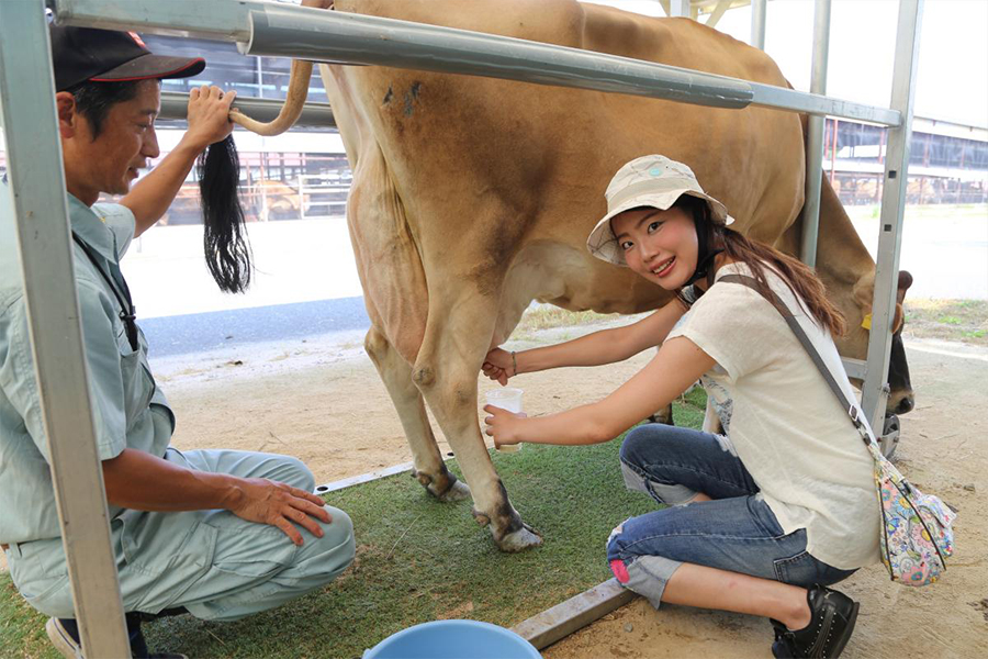 牧場で乳しぼり体験or乗馬体験